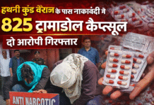 हथनी कुंड बैराज के पास नाकाबंदी में दो युवक गिरफ्तार, 825 प्रतिबंधित ट्रामाडोल कैप्सूल बरामद