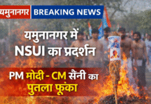 यमुनानगर में NSUI का अर्धनग्न प्रदर्शन, PM मोदी और CM सैनी का पुतला फूंका
