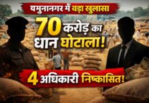 यमुनानगर में 70 करोड़ का धान घोटाला: 4 अधिकारी बर्खास्त, DFSC के 3 इंस्पेक्टर और 1 AFSO पर कार्रवाई