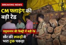 यमुनानगर की फैक्ट्री में CM फ्लाइंग की बड़ी रेड: खैर की लकड़ी से भरा ट्रक पकड़ा, छिलाई के बाद हो रही थी सप्लाई
