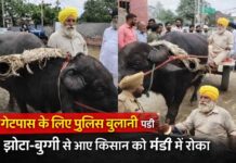 यमुनानगर में झोटा-बुग्गी से गेहूं लेकर मंडी पहुंचे किसान को रोका, गेटपास के लिए बुलानी पड़ी पुलिस