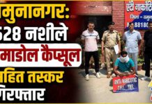 यमुनानगर में एंटी नारकोटिक सेल की बड़ी कार्रवाई, 528 प्रतिबंधित ट्रामाडोल कैप्सूल सहित आरोपी गिरफ्तार