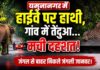 Yamunanagar News: कलेसर जंगल से निकला जंगली हाथी हाईवे पर पहुंचा, रामपुर-खदरी में तेंदुए का आतंक