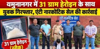 यमुनानगर में 31 ग्राम हेरोइन के साथ युवक गिरफ्तार, एंटी नारकोटिक सेल ने की कार्रवाई