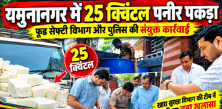 यमुनानगर में 25 क्विंटल संदिग्ध पनीर पकड़ा! सुबह 5 बजे फूड सेफ्टी विभाग की रेड, चालक हिरासत में