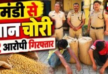 यमुनानगर: व्यासपुर मंडी से धान चोरी करने के मामले में दो आरोपी गिरफ्तार, चोरी की धान बरामद
