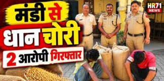 यमुनानगर: व्यासपुर मंडी से धान चोरी करने के मामले में दो आरोपी गिरफ्तार, चोरी की धान बरामद